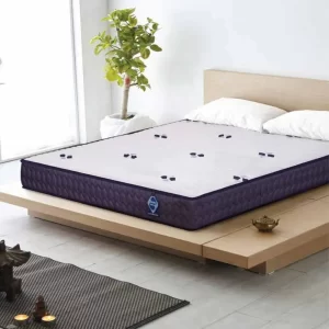 Orthopaedic Mattress