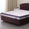Intimacy Plus Mattress