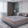 Spring Bliss Mattress
