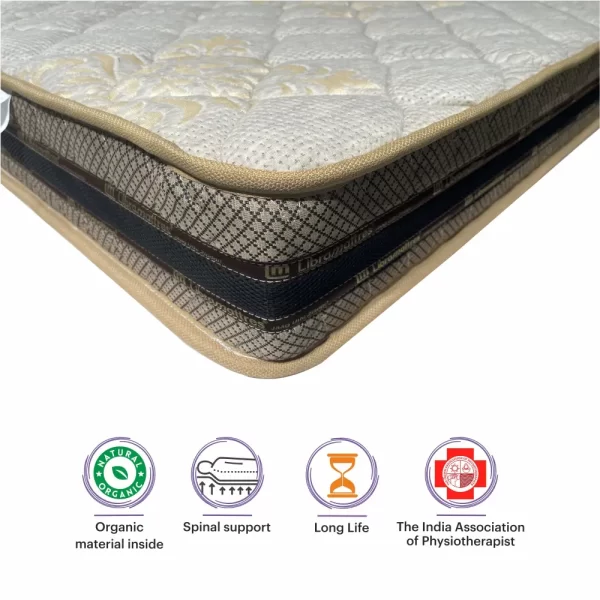 Libra Orthopaedic Gold - Image 4