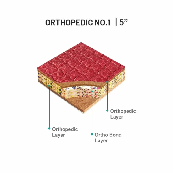 Libra Orthopaedic No.1 - Image 5